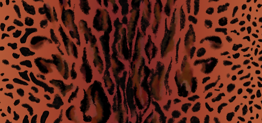 Captura de pantalla 2024-11-19 a la(s) 9.20.56 p. m..png
