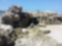 20150704_140559.jpeg