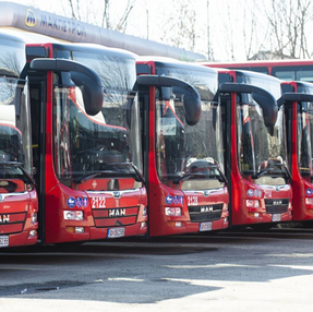 Skopje's public transport is operating with 100 fewer buses
