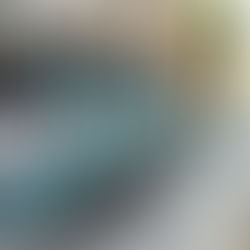 Rental price of BinBin scooters raised to 10 denars per minute