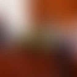 New technical government with first ethnic Albanian PM elected in Macedonia