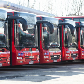 Skopje’s Public Transport Enterprise launches new website