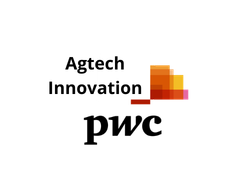PwC.png