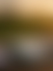 Tablet com gráficos em uma mesa de madeira, cercado por caderno e caneca, em campo com trator ao fundo e pôr do sol. Atmosfera tranquila.