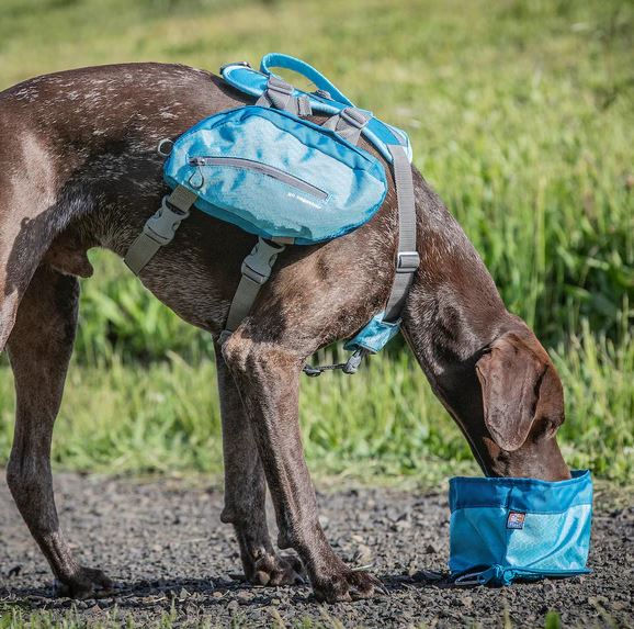Thumbnail: Zippy Bowl - Coastal Blue