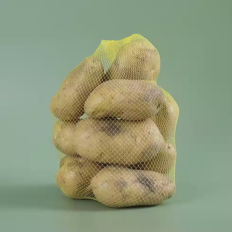 Filets extrudés.JPEG