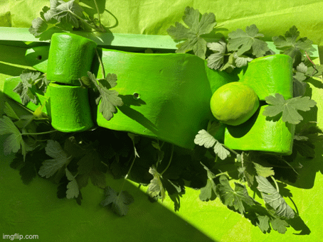 102. BAUCH in der SONNE