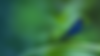 BANNERS copy.png