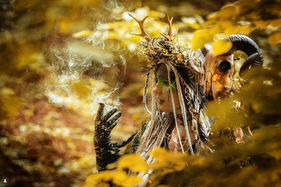 Zu sehen ist eine Waldhexe. Sie zaubert im Wald mystischen Nebel. 