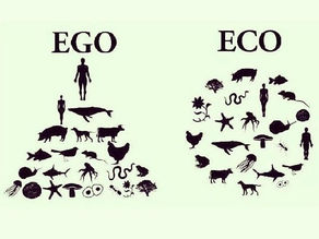 Reprendre notre juste place parmi les animaux