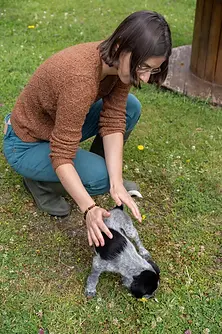 Soin énergétique - chien - chat - Marion Canaple