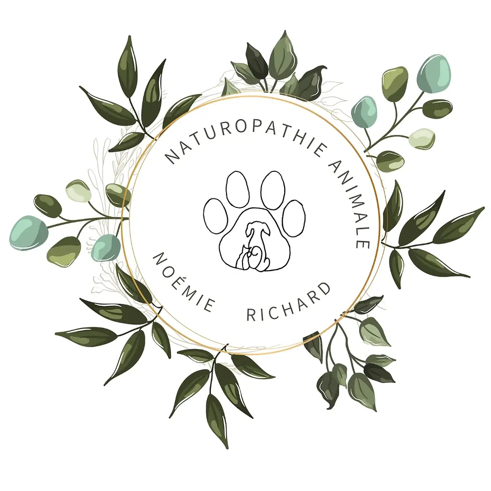 Naturopathie animale Noémie Richard