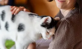 Marion Canaple en train de faire une communication animale avec un chat