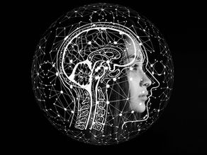 Les communications animales à distance expliquées par la physique quantique?