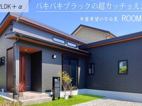 【加東市 平屋】ロールカーテンをつける場所と便利なロールカーテンの登場