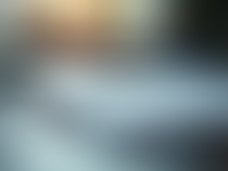 Abogados virtuales para empresas: tu aliado legal en México