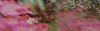 banner-referencias-formacao.jpg