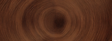 universo-profissional-consciencia-clareza-coerencia.png