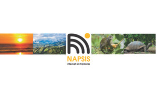 branding-napsis.005.jpeg