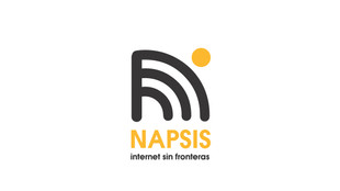 branding-napsis.011.jpeg