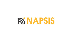 branding-napsis.004.jpeg