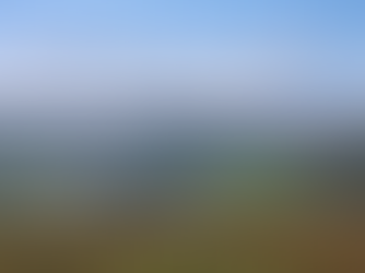 Awaken your Wild at Heggs Farm