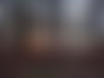 My Solo Wild Camp at Hayes Wood