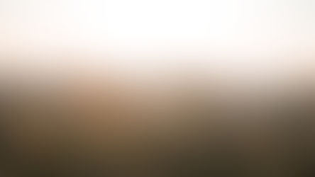 Leave No Trace: More Than Words - A Value System for the Outdoors