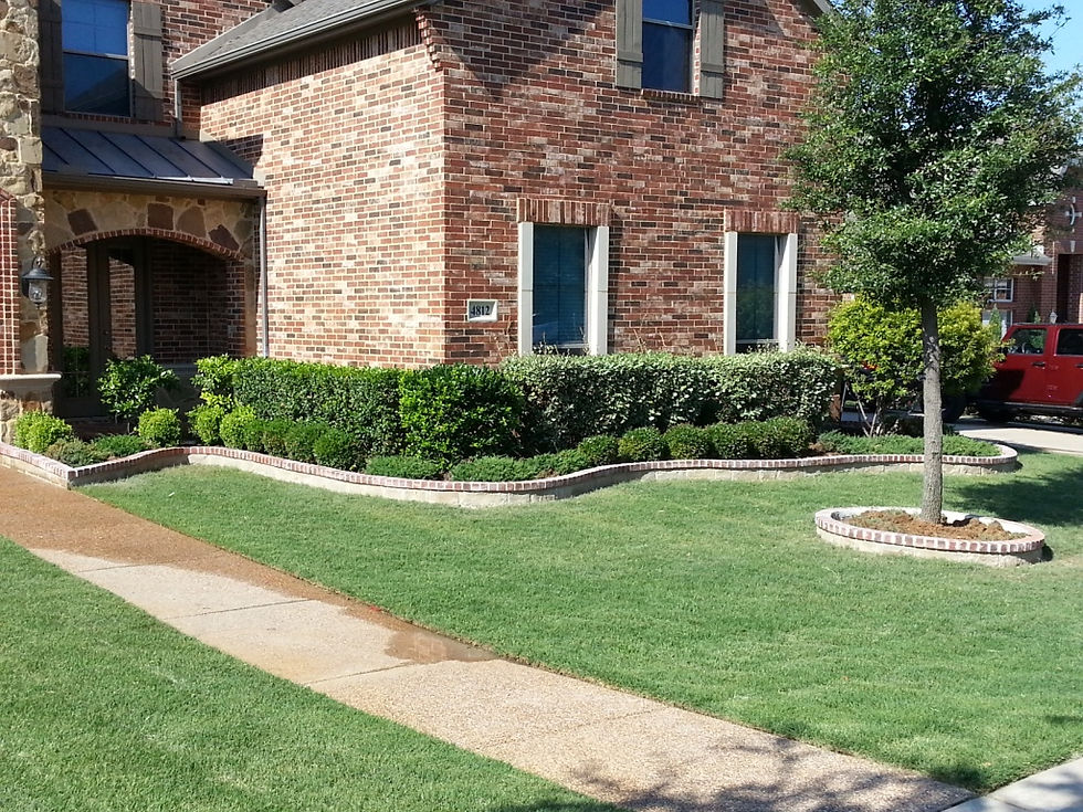 FlowerBed_E2.jpg