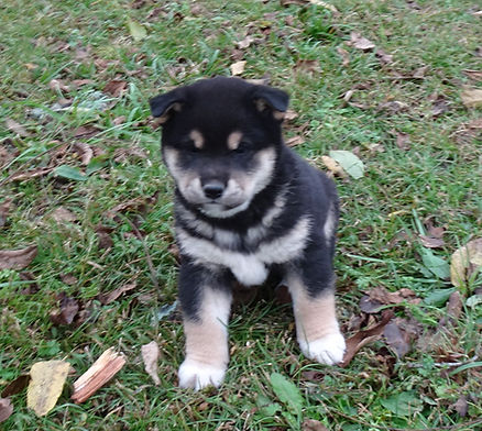 Lex 10-27-2025 A.JPG