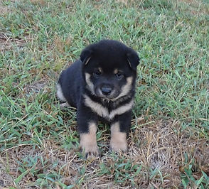 Hiro 8-27-2026 A.JPG
