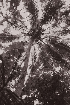 WhatsApp Image 2026-04-02 at 13.25.57 (1).jpeg