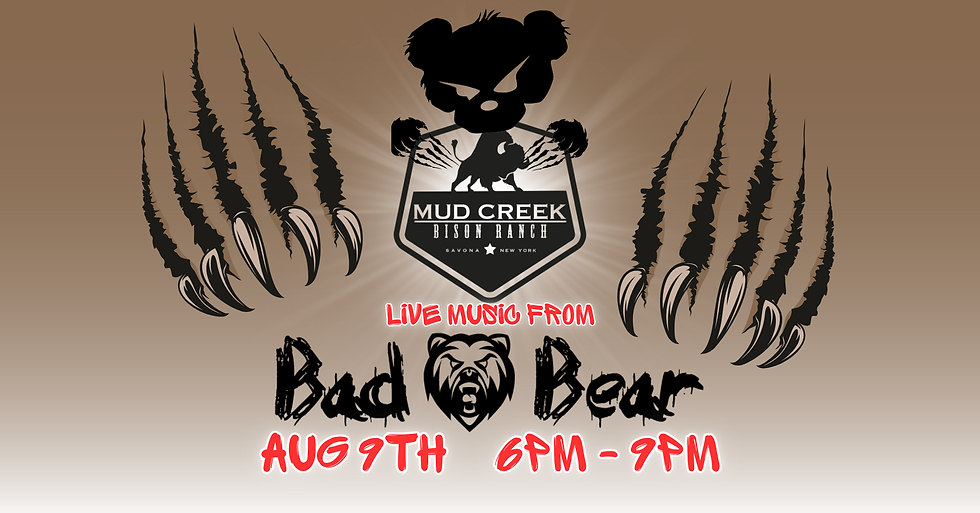 Bad Bear - Live Music