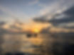 IMG_8095 2.jpeg