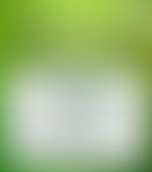 25th Year of God’s Faithfulness Amidst the Time of Disruption