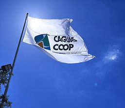 BANDERA_edited.jpg