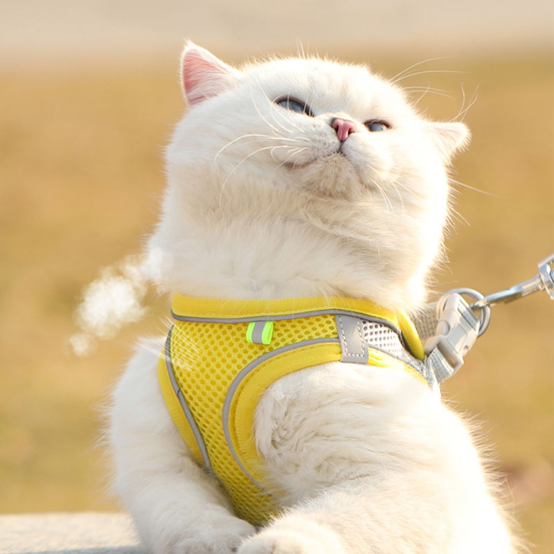 Miniatura: Peitoral Colete com Guia para Cães Pequenos e Gatos
