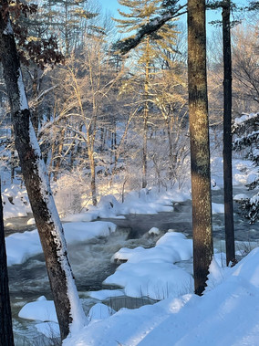Extremely Cold Morning 3