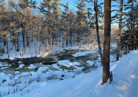 Extremely Cold Morning 2