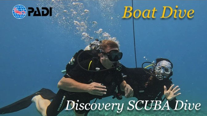 Ocean Therapy Charters