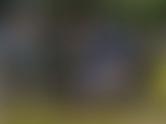 GE Xapecó participa de INDABA no Campo Escoteiro Padre Edgard.