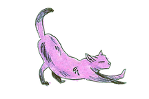 cat drawing - decorative