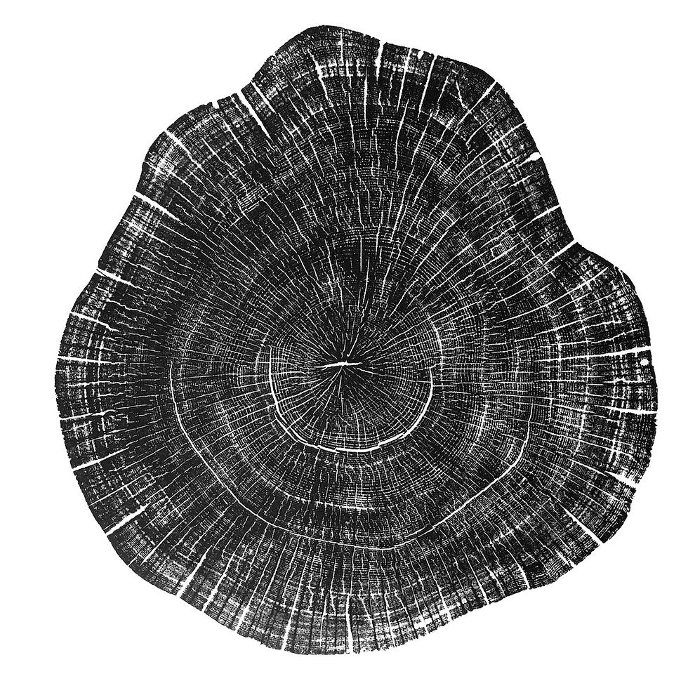 Thumbnail: Oak (pear) - 22 1/2"x 23" inches