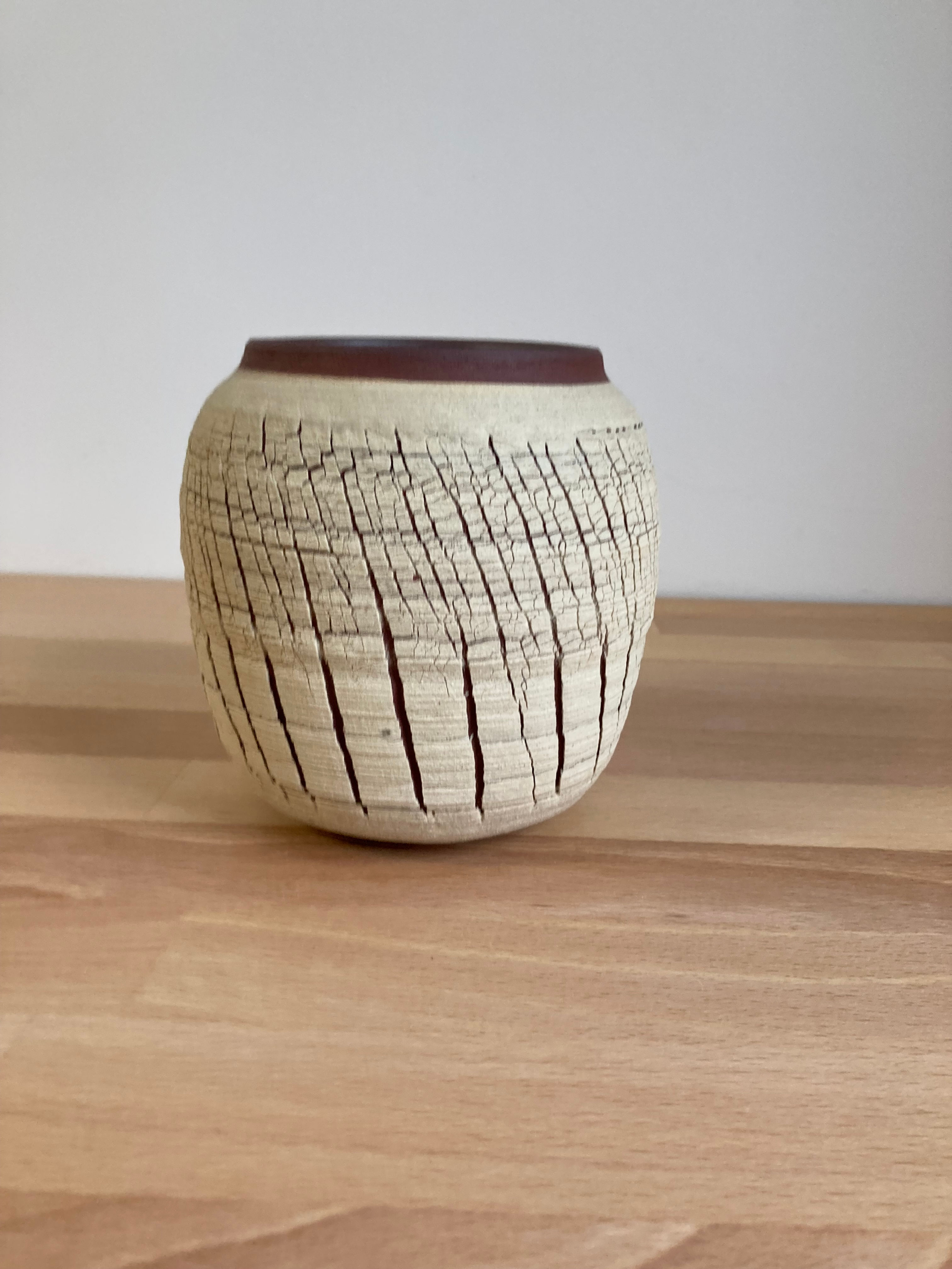 Cracked Texture Vase 5