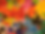 IMG_5453_edited.png