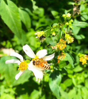 118705340_2742423259411552_6429675713319