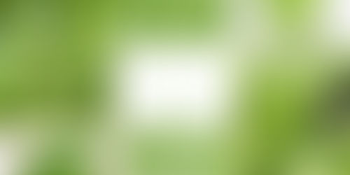 Greenery: a cor do ano 2017