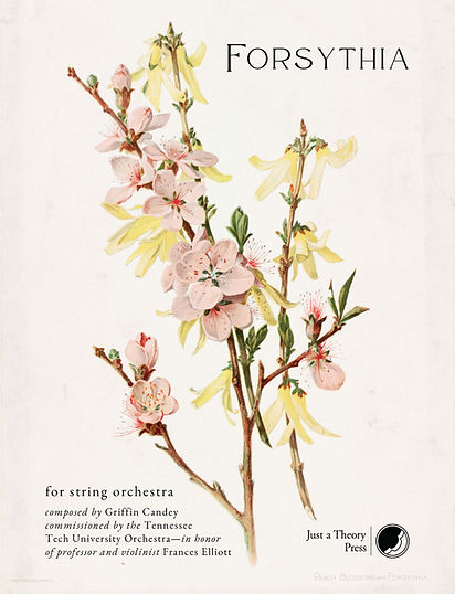 Forsythia