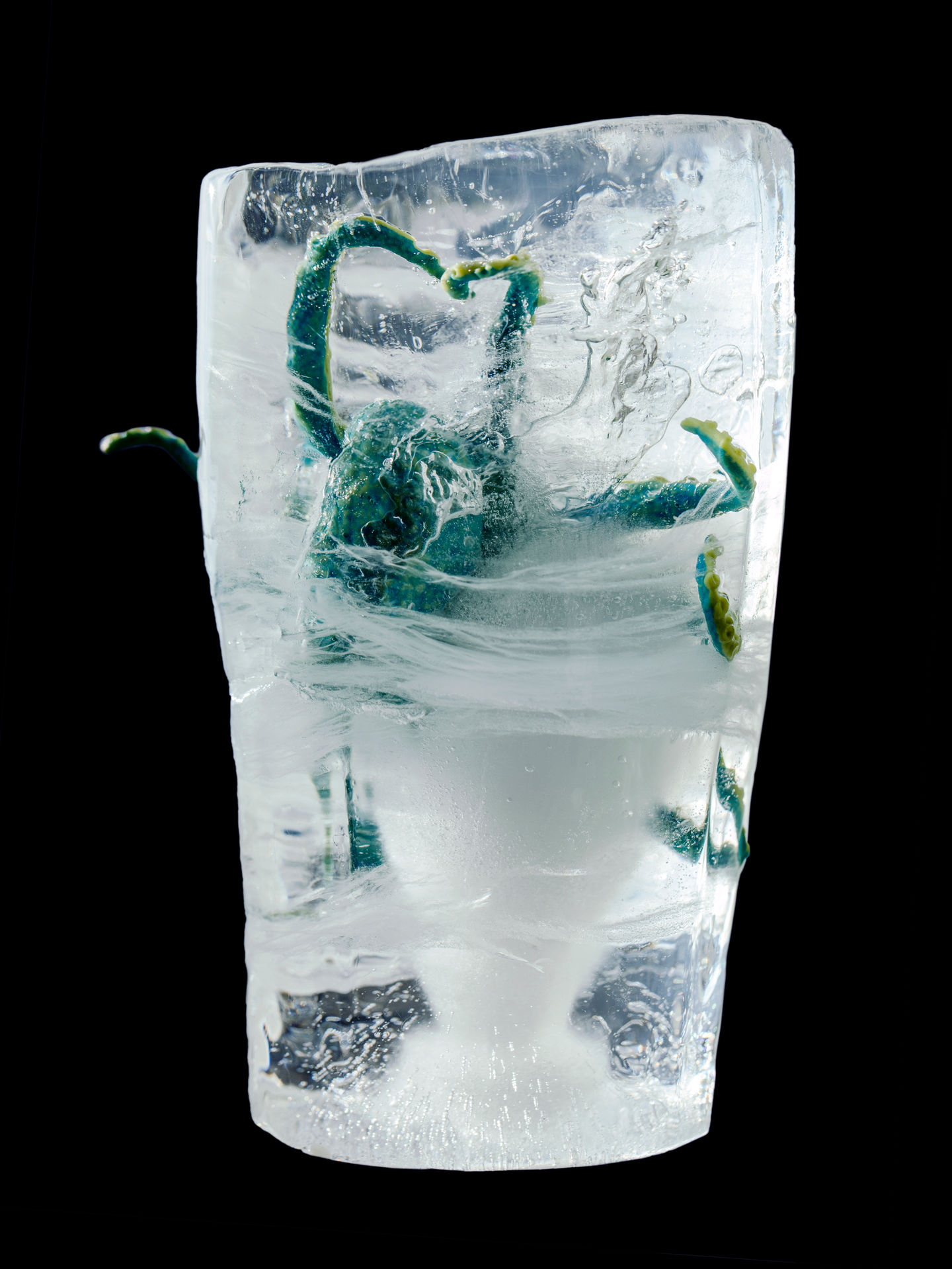 107 4 Freeze 3
