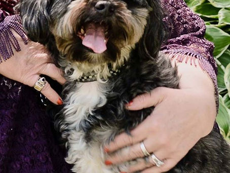 The Whirlpool of Grief